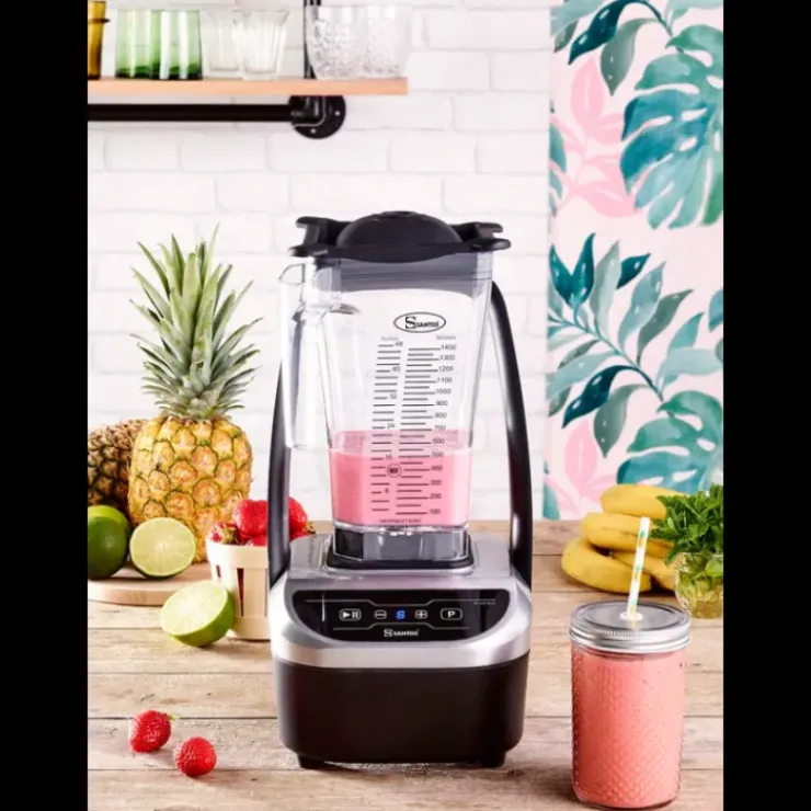 SANTOS Blender Brushless CompactProfessionnel N°66 Best