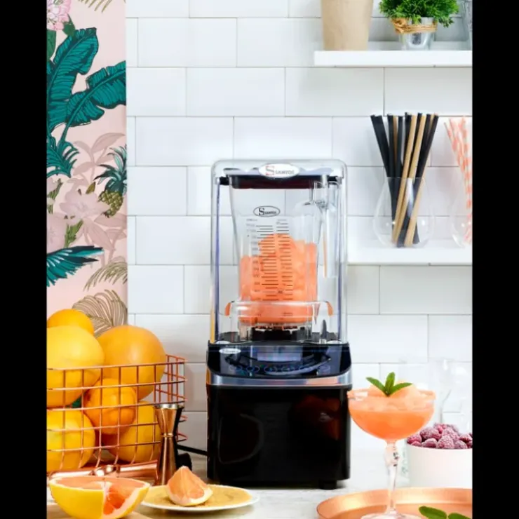 SANTOS Blender Brushless ExpertProfessionnelN°62 Outlet