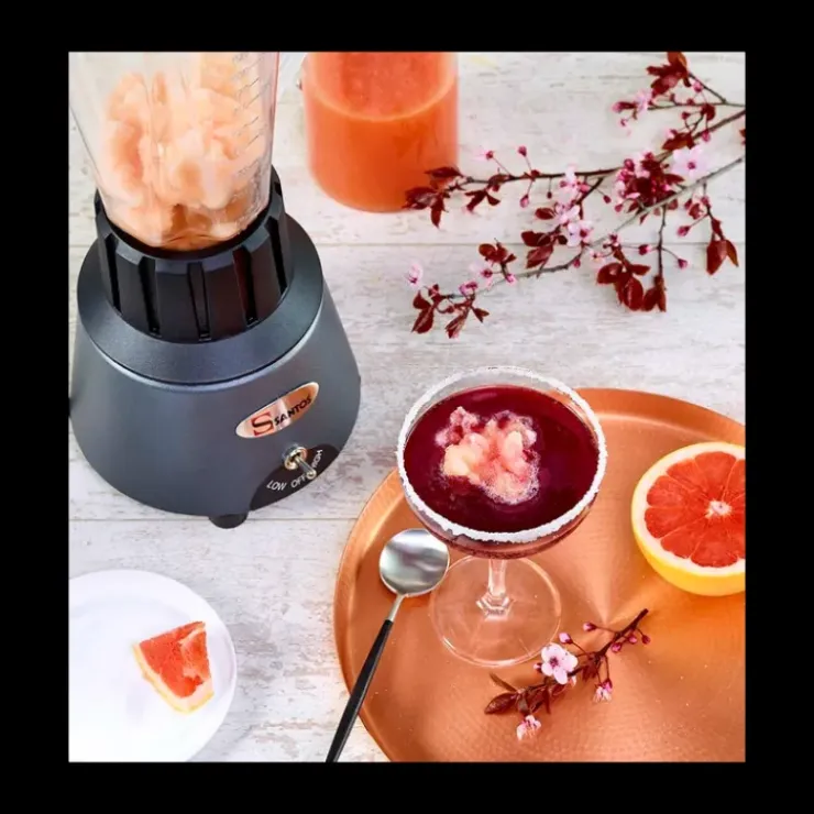SANTOS Blender de Bar 1.25 L Gris Chromé n°33 Hot