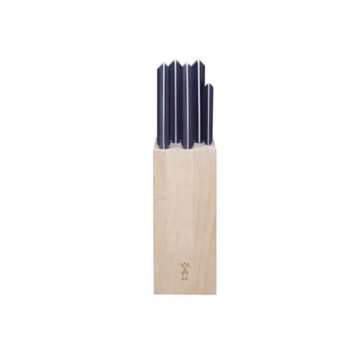 OPINEL Bloc à Couteaux + 5 Couteaux Intempora Pain