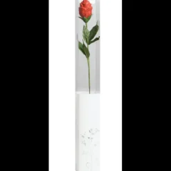 CHOCOLATE WORLD Boites Transparentes pour Fleur en Chocolat x200 New