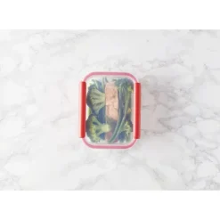 MASTRAD Boîte de Conservation Connectée 1,04 L Rouge Stor'eat