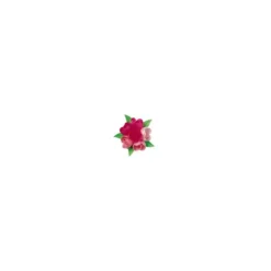FLORENSUC Boîte Rose Azyme 40 mm x72 Online