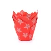 HOUSE OF MARIE Caissette Cupcake Étoiles (x36) Clearance