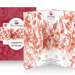 TERRE EXOTIQUE Calendrier de l'Avent Epices Outlet