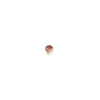 FLORENSUC Champignon en Sucre Beige 20 x 15 mm (x96) Outlet