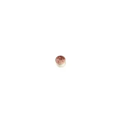 FLORENSUC Champignon en Sucre Beige 20 x 15 mm (x96) Outlet