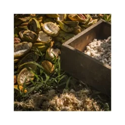 VALRHONA Chocolat de Couverture Noir Manjari 64% 250g Clearance