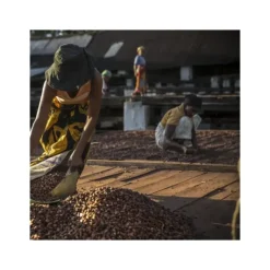 VALRHONA Chocolat de Couverture Noir Millot 74% Bio 250g Online