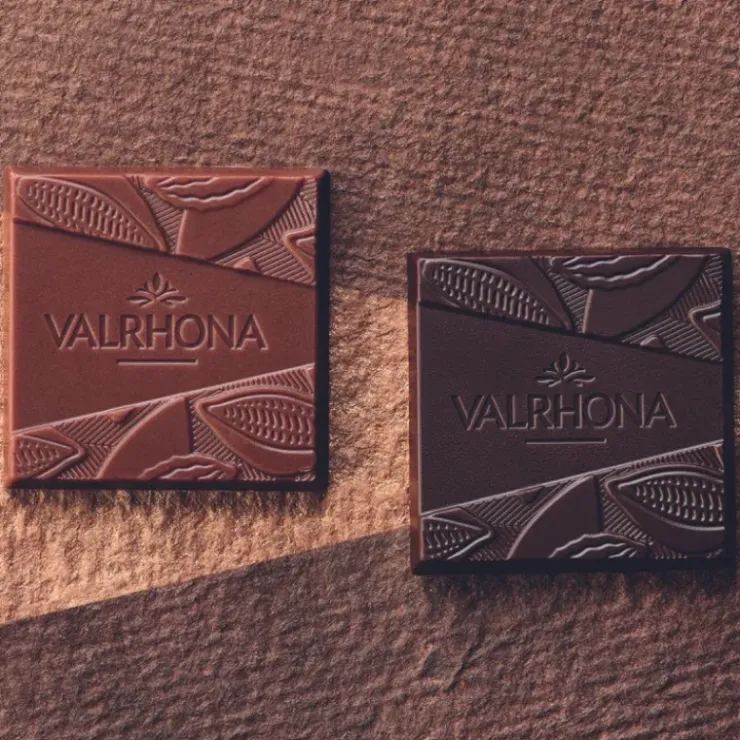 VALRHONA Coffret 32 Carrés de Chocolats Noir et Lait Les Essentiels 160 g Best