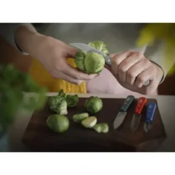 OPINEL Coffret 3 Couteaux de Cuisine et un Eplucheur Primo Les Essentiels Clearance