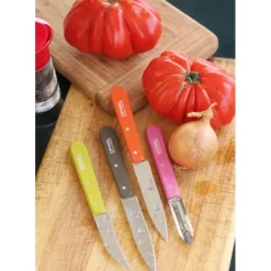 OPINEL Coffret 3 Couteaux de Cuisine et un Eplucheur Fifties Les Essentiels Clearance