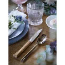 OPINEL Coffret 4 Couteaux de Table Olivier Facette