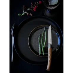 OPINEL Coffret 4 Couteaux de Table Olivier Table Chic Best