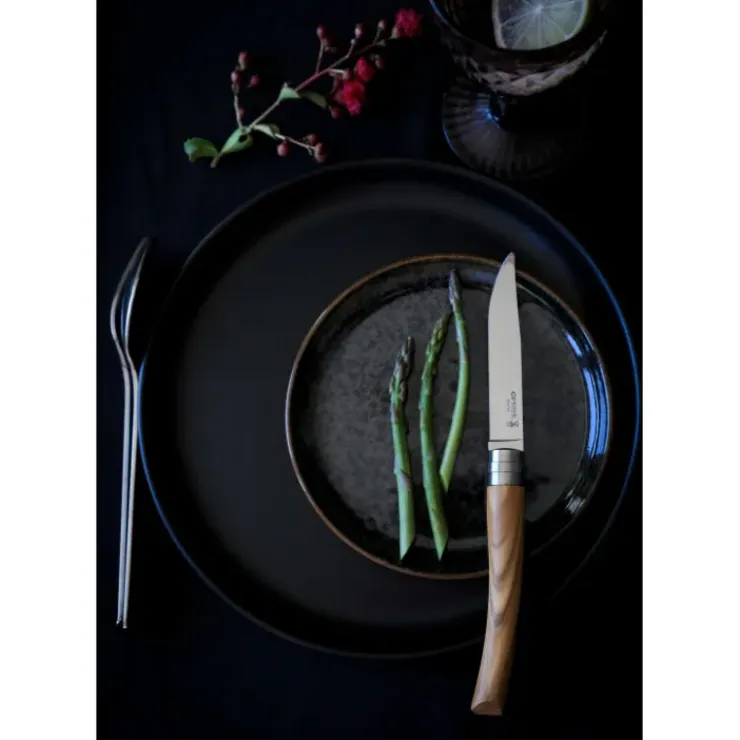 OPINEL Coffret 4 Couteaux de Table Olivier Table Chic Best