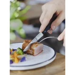 OPINEL Coffret 4 Couteaux de Table N°125 Pro Bon Appétit + Online