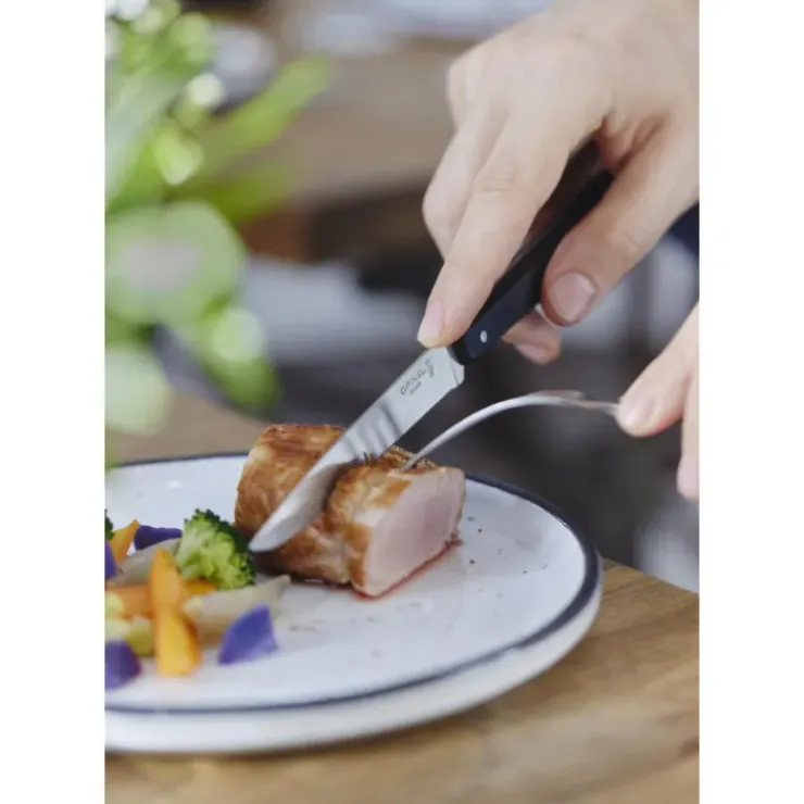 OPINEL Coffret 4 Couteaux de Table N°125 Pro Bon Appétit + Online