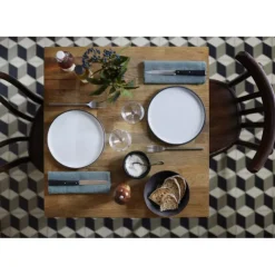 OPINEL Coffret 4 Couteaux de Table N°125 Pro Bon Appétit + Online