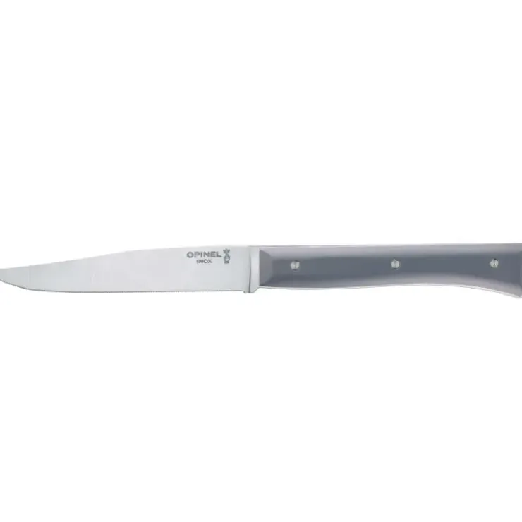 OPINEL Coffret 4 Couteaux de Table Ardoise Facette Sale