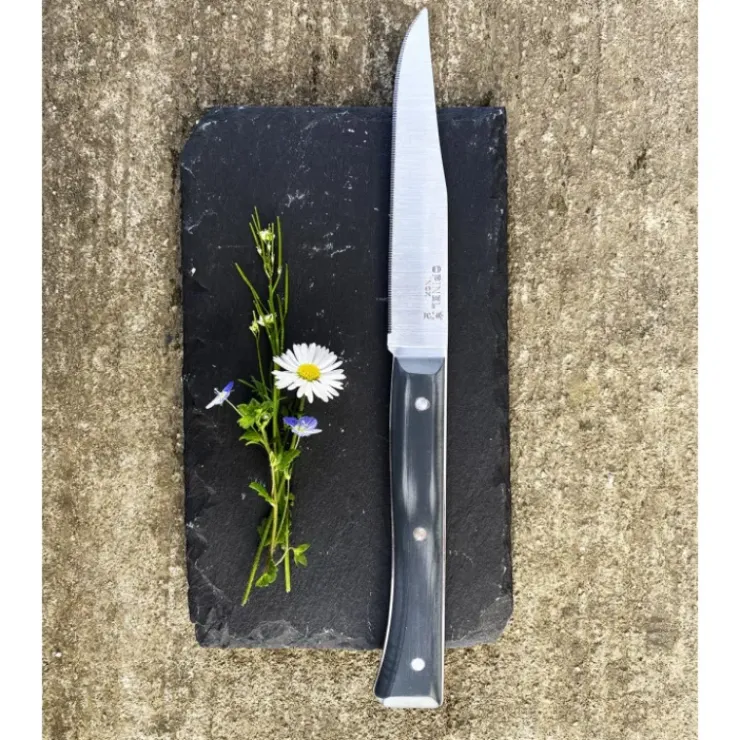 OPINEL Coffret 4 Couteaux de Table Ardoise Facette Sale