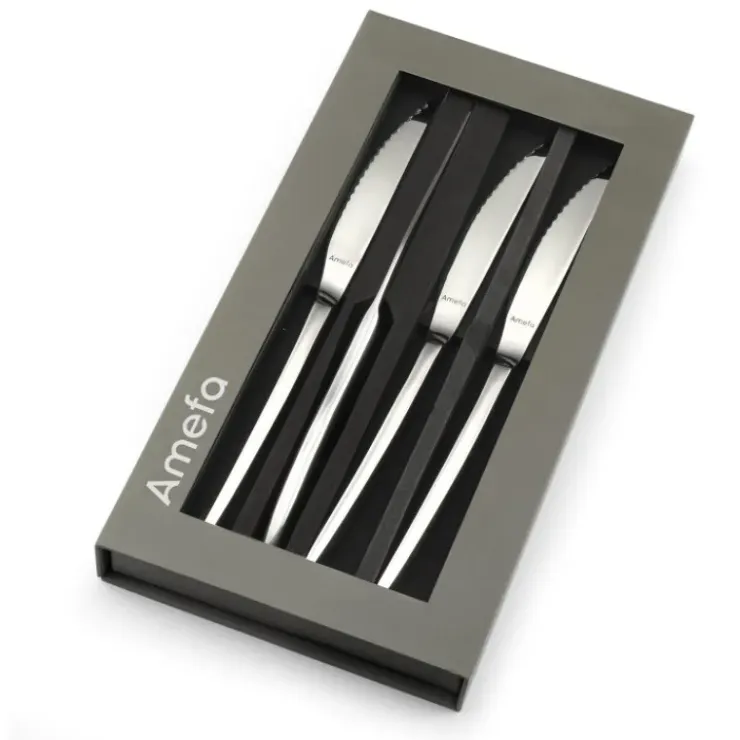 AMEFA Coffret 4 Couteaux Steak Aurora 22,7 cm Premiere Hot