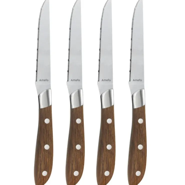 AMEFA Coffret 4 Couteaux Steak Achille 23 cm Hot
