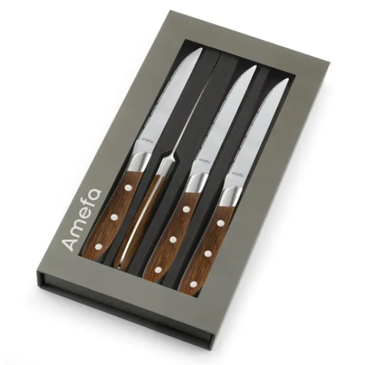 AMEFA Coffret 4 Couteaux Steak Achille 23 cm Hot