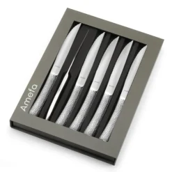 AMEFA Coffret 6 Couteaux Steak Bongo 23 cm Outlet