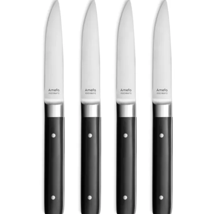 AMEFA Coffret 4 Couteaux Steak Fusion 22 cm Sale