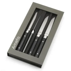 AMEFA Coffret 4 Couteaux Steak Fusion 22 cm Sale