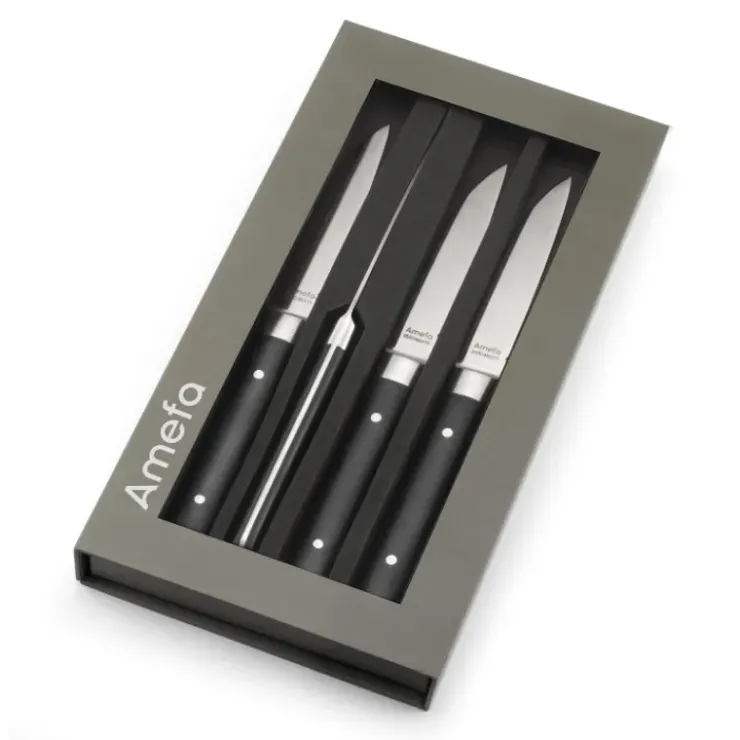 AMEFA Coffret 4 Couteaux Steak Fusion 22 cm Sale