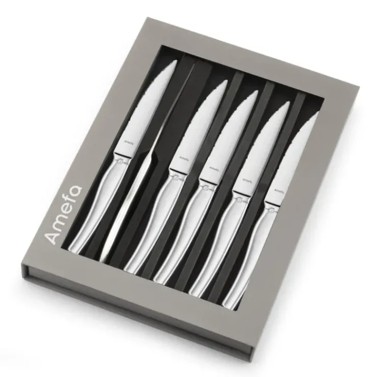 AMEFA Coffret 6 Couteaux Steak Goliath 22 cm Hot