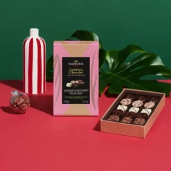 VALRHONA Coffret de Chocolats 15 Petits Délices 145 g Best