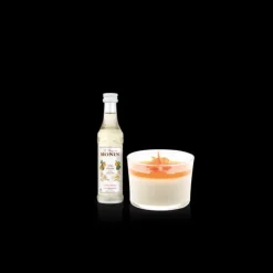 MONIN Coffret Dégustation Sirops pour Pause Gourmande 5 x 5 cl Sale