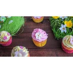 SCRAPCOOKING Color'Arôme Rose / Framboise 10g Outlet