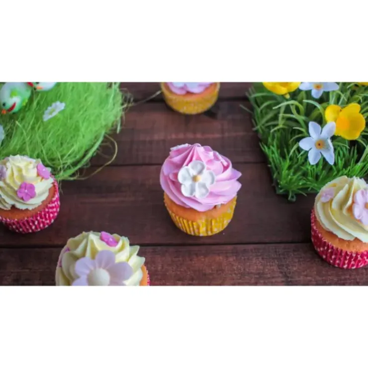 SCRAPCOOKING Color'Arôme Rose / Framboise 10g Outlet