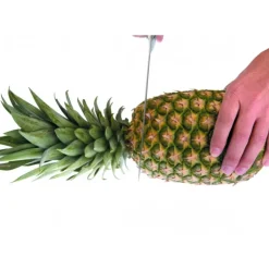 IBILI Coupe Ananas Plastique Ø 8,5 cm x H 25 cm Clearance
