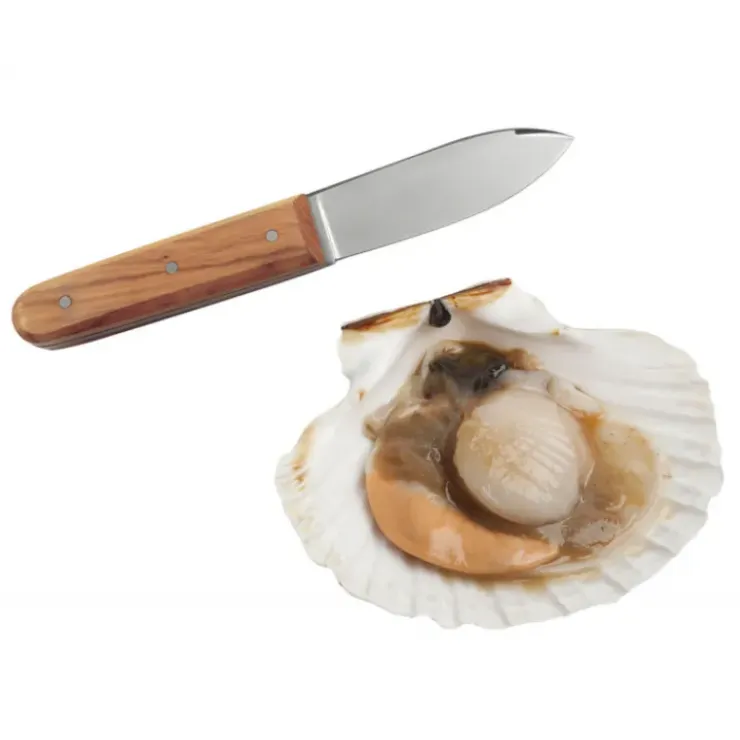 La Bonne Graine Couteau Coquille Saint Jacques Tellier Clearance