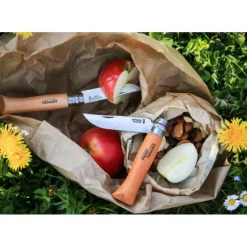 OPINEL Couteau de Poche N°10 en Inox Clearance
