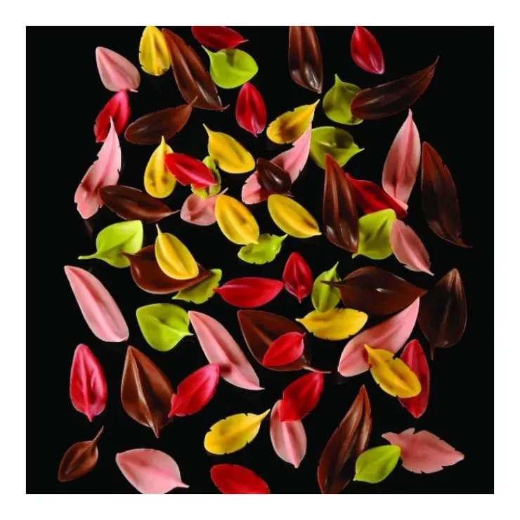 PAVONI Couteau Inox Feuille 6 x 3 cm Flychoc New