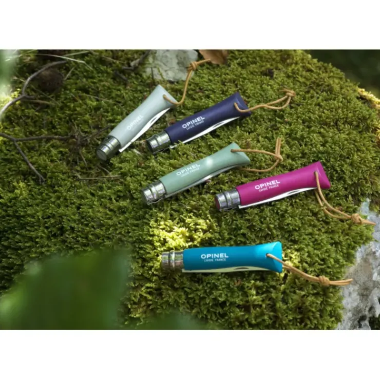 OPINEL Couteau N°6 Baroudeur Sauge Colorama Best