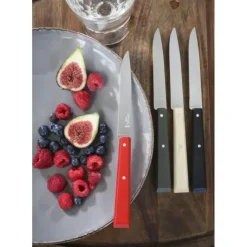 OPINEL Couteaux de Table (x4) Loft Bon Appétit ! Hot