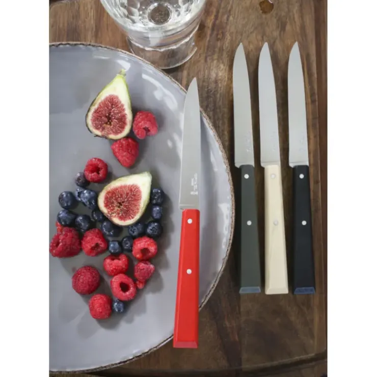 OPINEL Couteaux de Table (x4) Loft Bon Appétit ! Hot