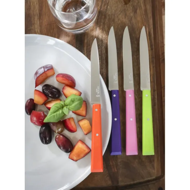 OPINEL Couteaux de Table (x4) Pop Bon Appétit ! Best