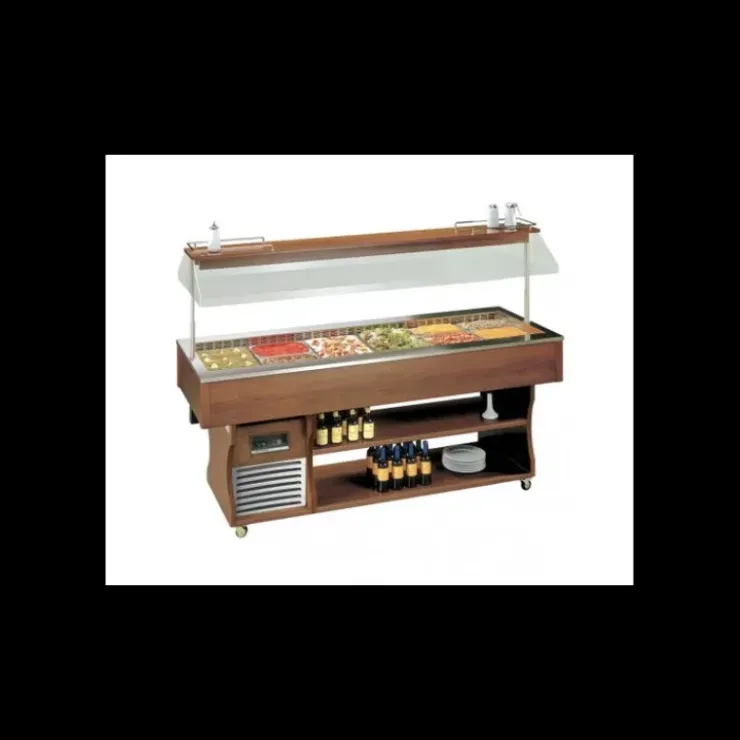 TECFRIGO Desserte Réfrigérée Positive 4 à 10°C 2062 x 750 x 1528 mm Outlet