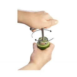 La Bonne Graine Evideur Fruits et Légumes Le Petit Farceur Inox New