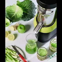 SANTOS Extracteur de jus Nutri Online