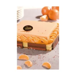 FLEXIPAN FIN DE SERIE Carré - Moule silicone Online