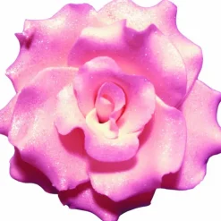 MALLARD FERRIERE Fleur en sucre Rose frisées couleur rose Ø 7 cm Mallard Ferrière Clearance