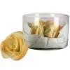 MALLARD FERRIERE Fleur en sucre Roses - nuancées Pêches Ø5 cm (x5) Mallard Ferrière Discount